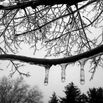 ice-storm_001